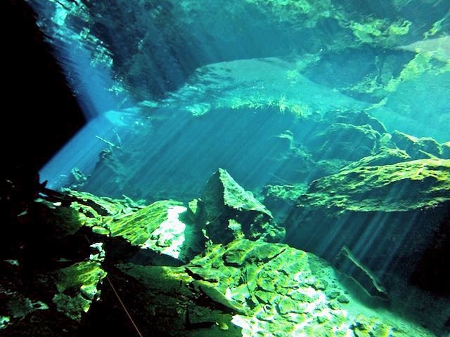 Buceo en cenotes